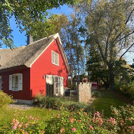 Ferienhaus Stella غلوفي المظهر الخارجي الصورة