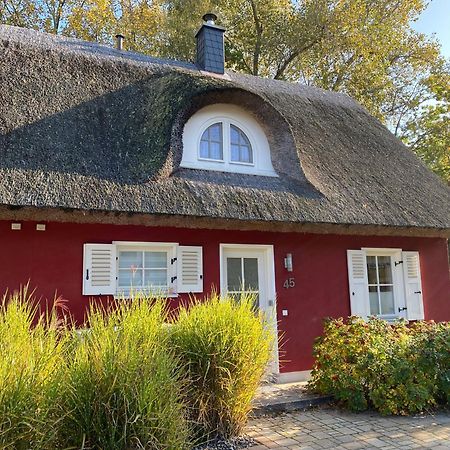 Ferienhaus Stella غلوفي المظهر الخارجي الصورة